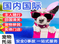 黄山航空物流国际宠物托运 【国